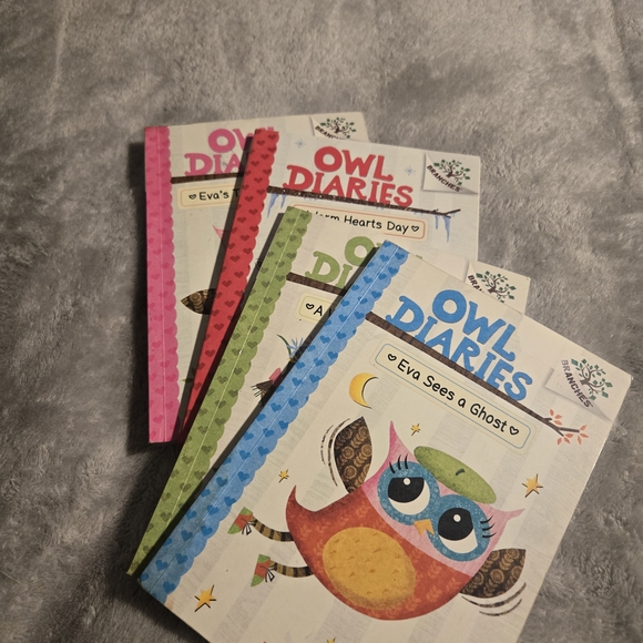 Scholastic Owl Diaries Book Collection - Pink, Blue, Green, Red - Picture 5 of 5